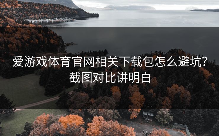 爱游戏体育官网相关下载包怎么避坑？截图对比讲明白