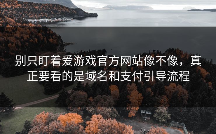 别只盯着爱游戏官方网站像不像，真正要看的是域名和支付引导流程