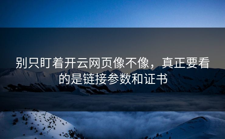 别只盯着开云网页像不像,真正要看的是链接参数和证书